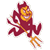 Arizona State Profile Page